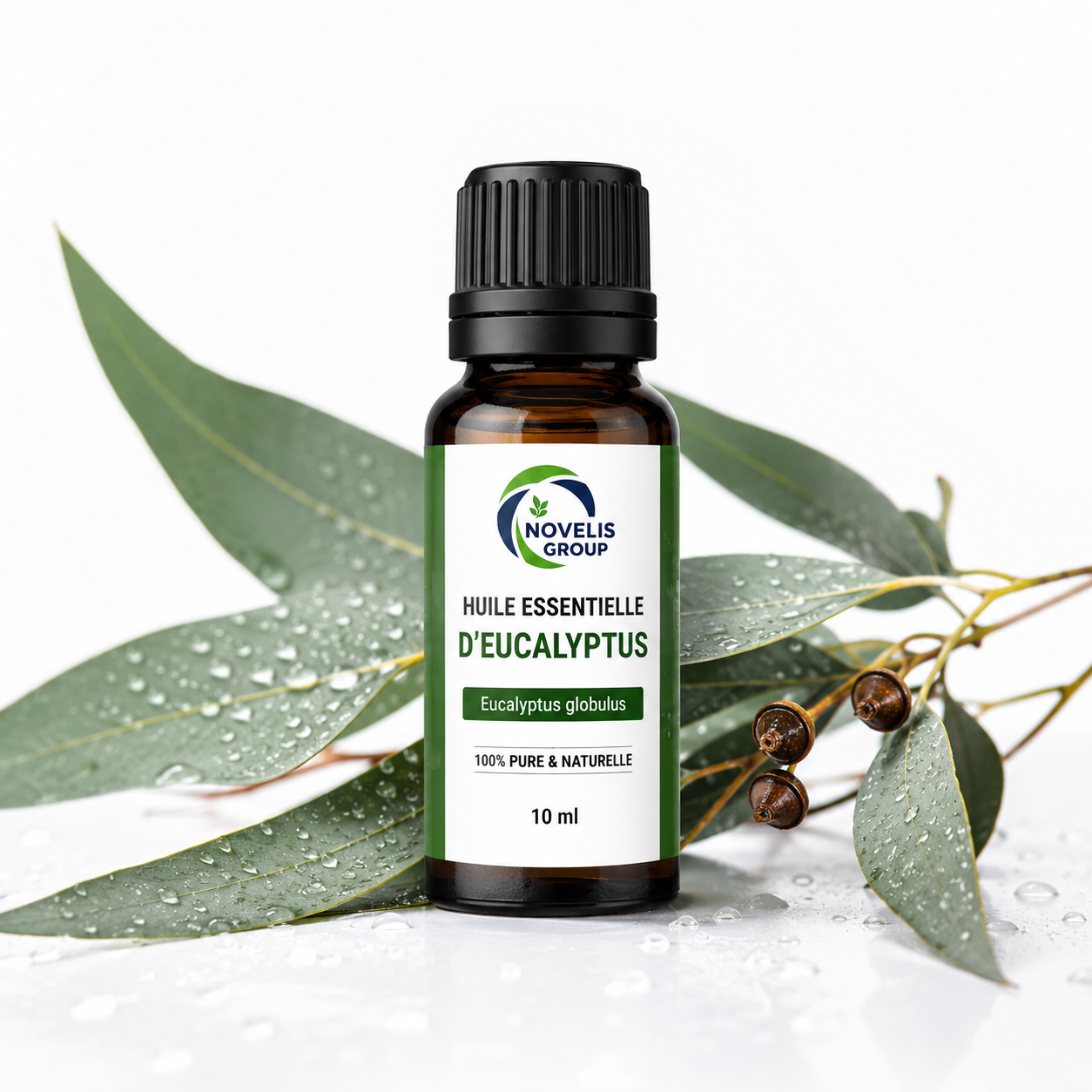 Huile Essentielle d'Eucalyptus